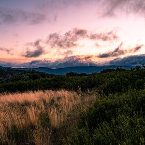 Taj Mahal's Heart (Extended)