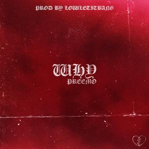 Why (feat. Z.Y. Preemo)