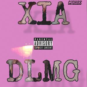 DLMG