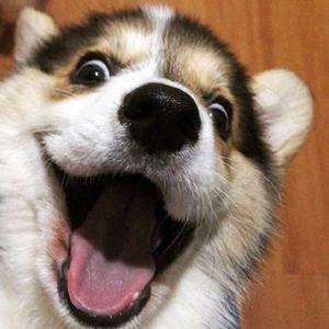 嘲笑(Prod By RoyalBoi)