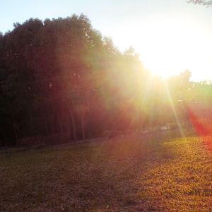 做你自己(Just Be Yourself [03.19.2025]）