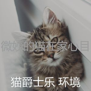 温和小猫梦想
