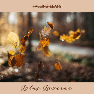 Falling Leafs