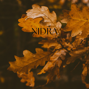 Nidra