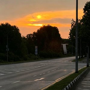 西洲秋月