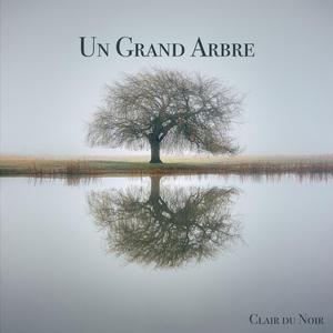 Un Grand Arbre