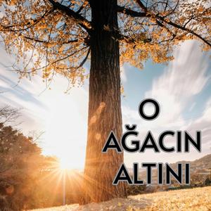 O Ağacın Altını