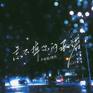 忘不掉你的承诺（你说你爱我）