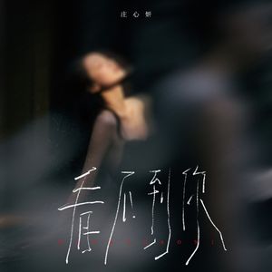看不到你(DJ豪大大版)