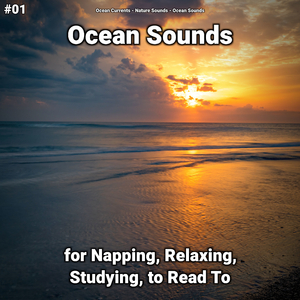 Ocean Sounds Pt. 89