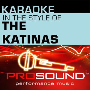 Thank You (Karaoke Lead Vocal Demo)[In the style of Katinas]