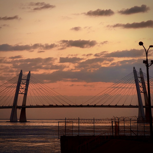 Питер-Питер