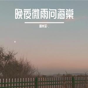 晚夜微雨问海棠（抖音）