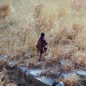 안타까운 나로부터