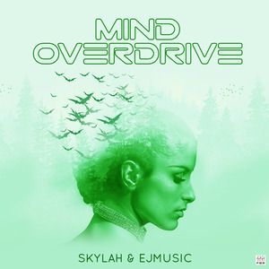 Mind Overdrive