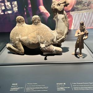 深秋西安的乡思