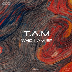 El proceso es fascinante