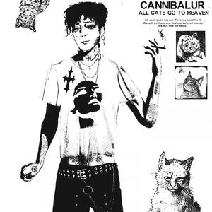 przyzwyczaiłem się do ciszy