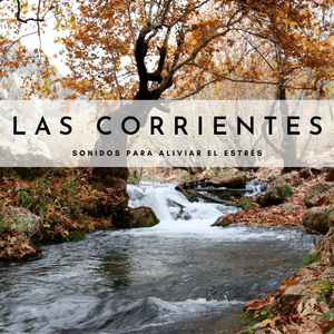 Suavizando El Trauma