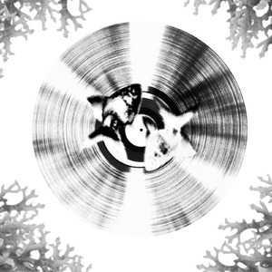 Señal Intro (Remix)