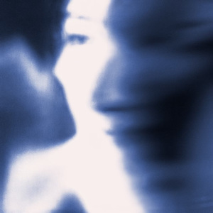 LMS（Leonid Meteor Shower）