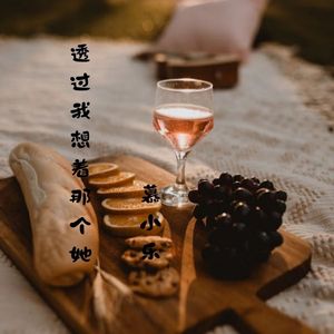 透过我想着那个她