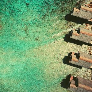 微妙的午餐心情