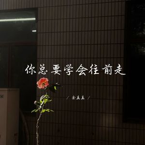 你总要学会往前走 (深情女生版)