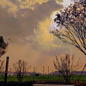 又做了一个很长的梦