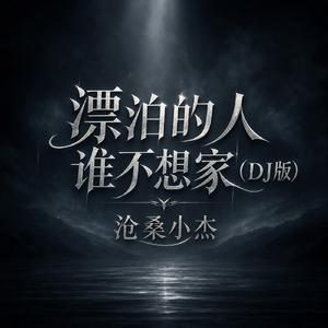 漂泊的人谁不想家(DJ版)
