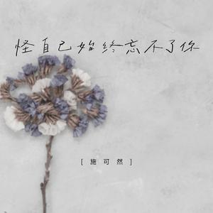 怪自己始终忘不了你