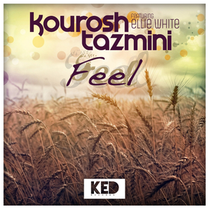 Feel (Radio Edit)