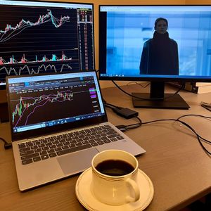 相遇共怜 不语天荒(BGM版)