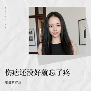 伤疤还没好就忘了疼