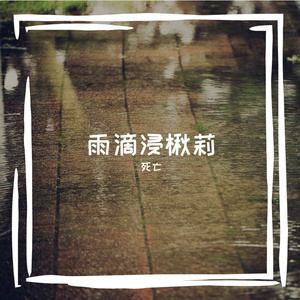 雨滴浸楸莉