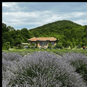 С Днём Рождения