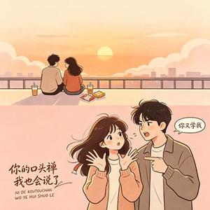 你的口头禅我也会说了