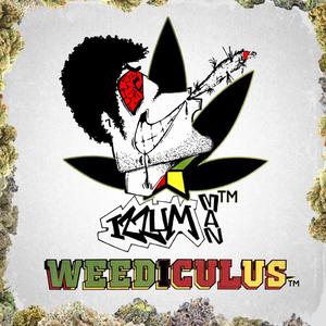 The Bonaficial Story (feat. Ladavieon & Diezzle Don)