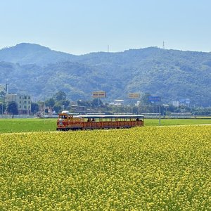 不赶时间的温柔