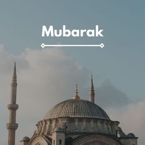 Voices In My Head (S-Elm Remix)