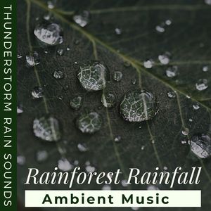 Total Relax and Sleep Well