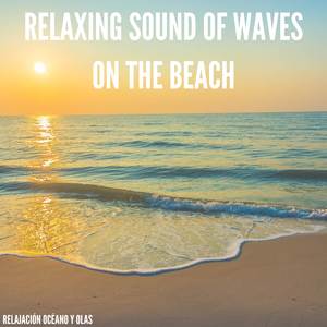 Relaxing Sound of Waves on the Beach 4