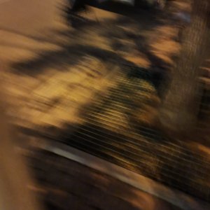 无名的人（片段）