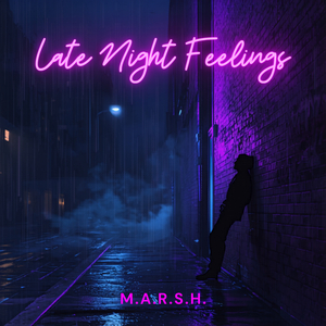 Late Night Feelings