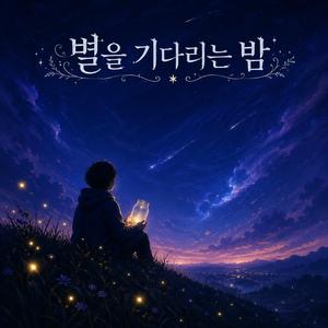 별을 기다리는 밤