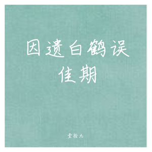 因遗白鹤误佳期