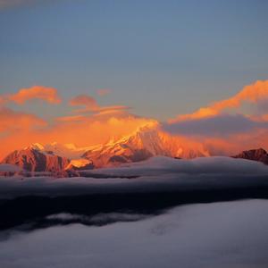 早已习惯一个人