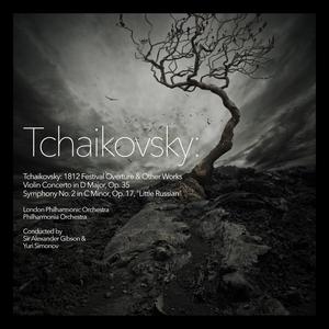 Violin Concerto in D Major, Op. 35: I. Allegro moderato