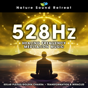 Solar Plexus Chakra Alignment - 528Hz Transformation Meditation