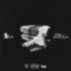 Trap Line (feat. Chris Reze)